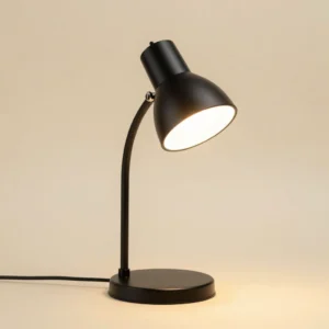 Adjustable Desk Lamp